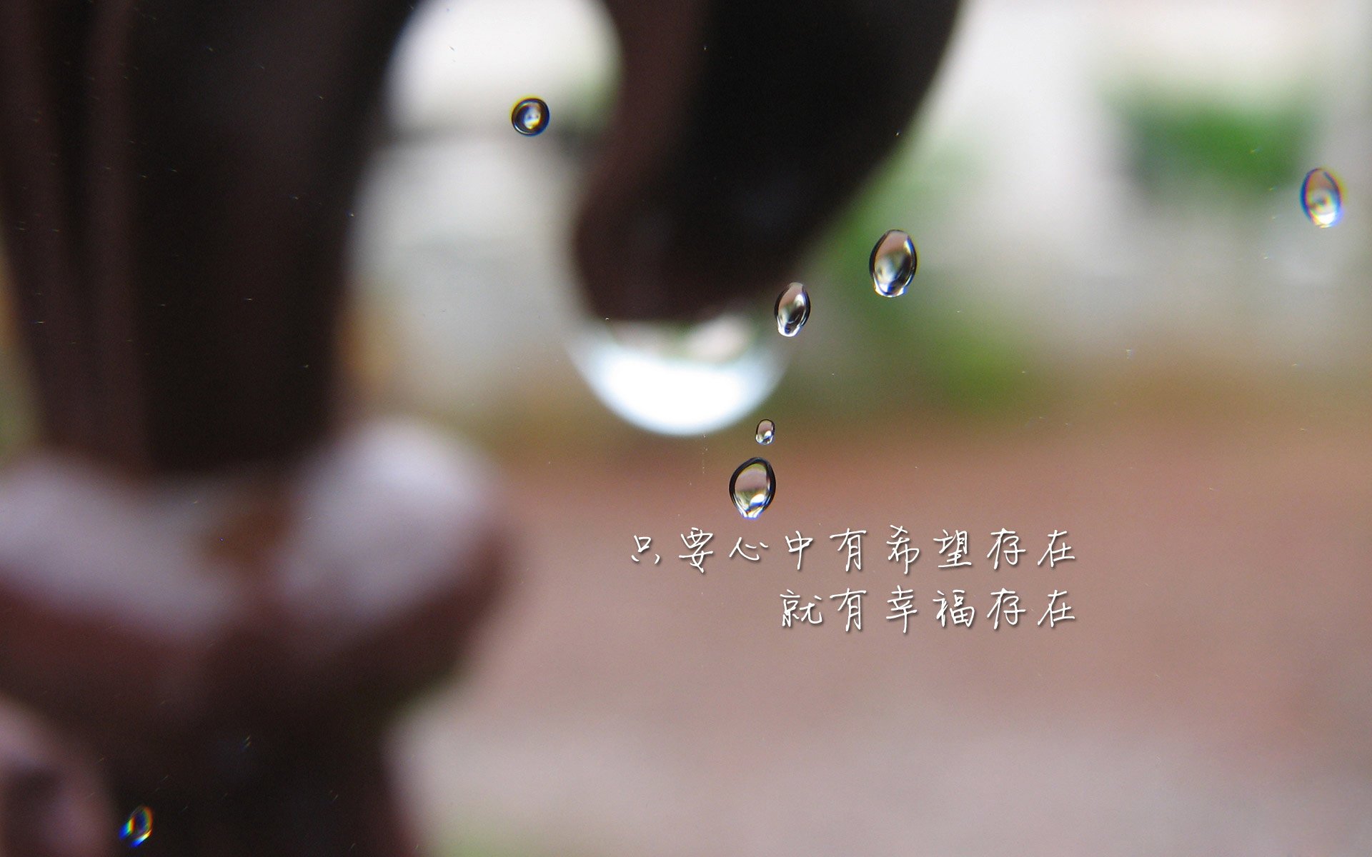 “中国足球国家队主帅首次公开亮相”，国足主帅是谁