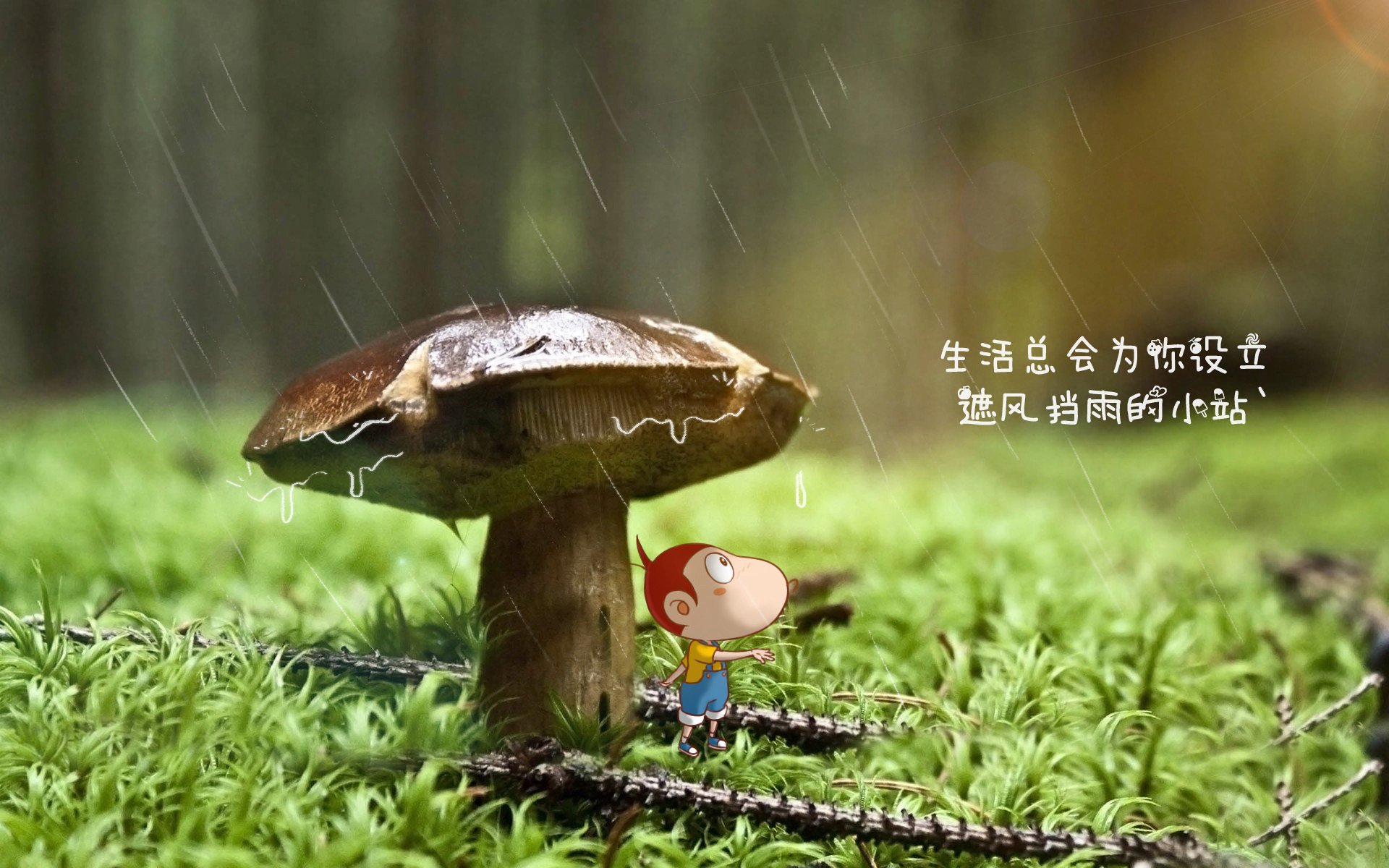 智能轮滑竞技，科技助力青春飞扬，轮滑功能介绍
