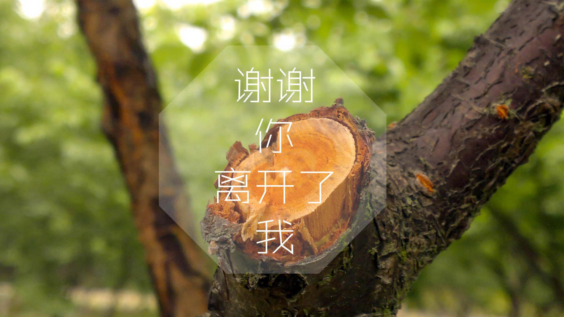 马赛新援首秀献绝杀，帮助球队取得胜利，马赛首发