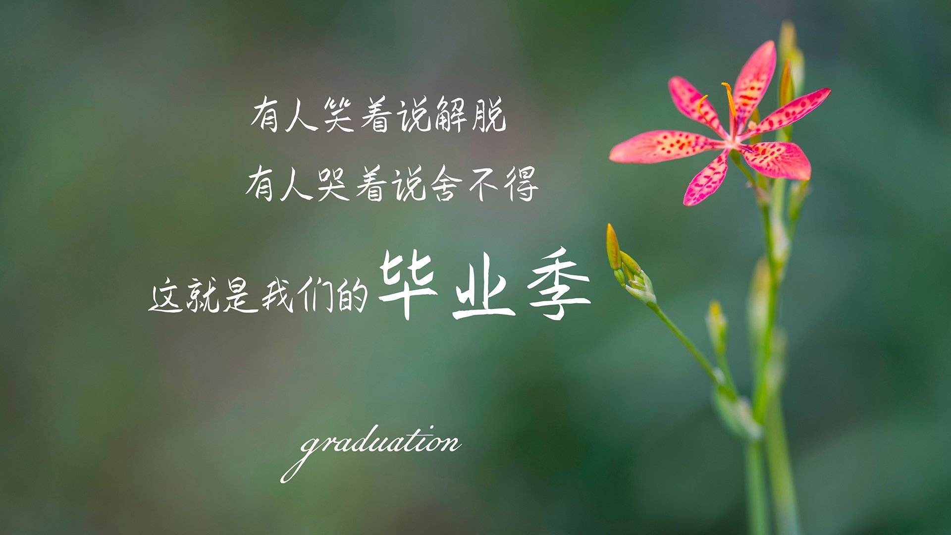 马尔科斯·达尔梅达在2024年南美锦标赛中以完美的30分收尾，赢得冠军